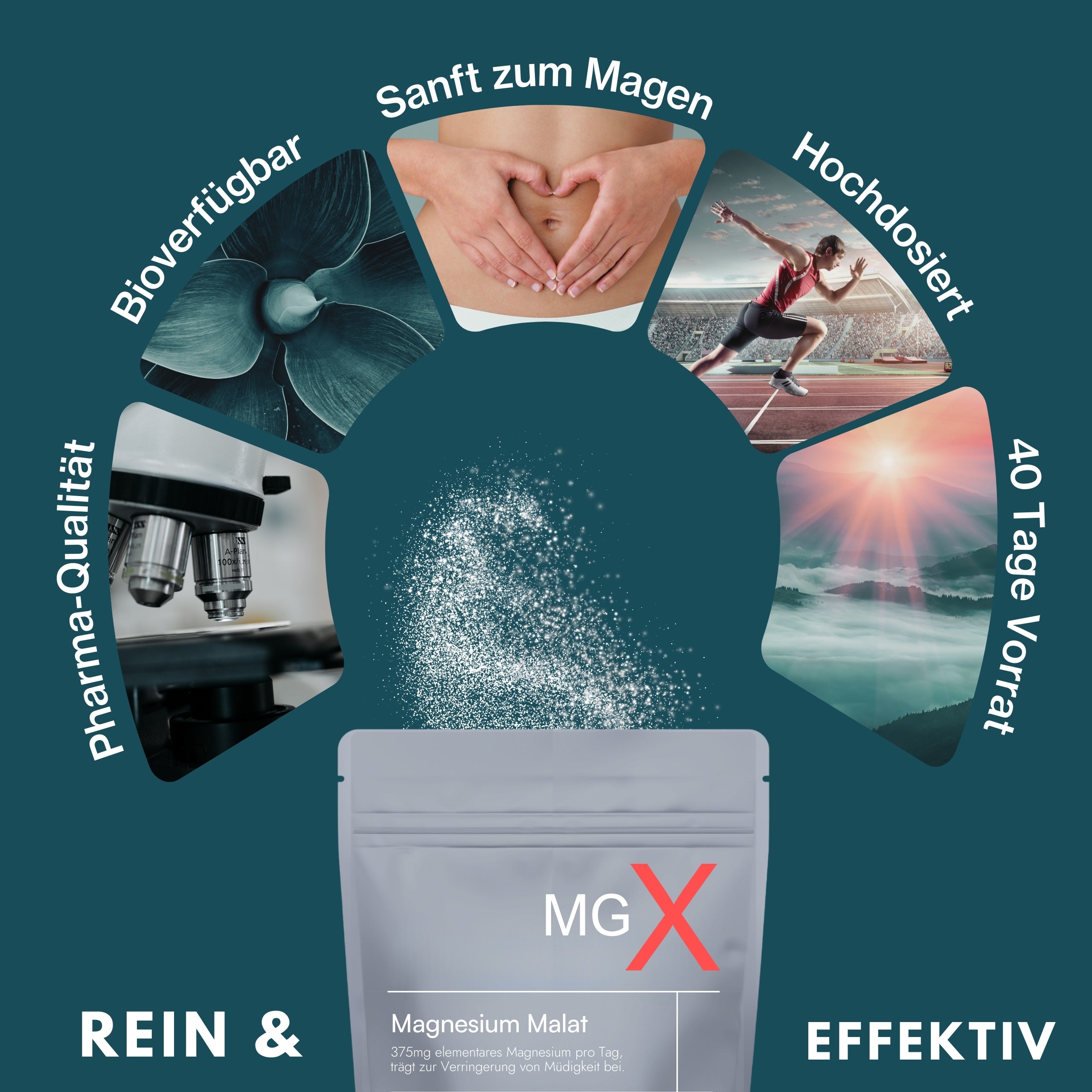 Magnesium Malat Pulver